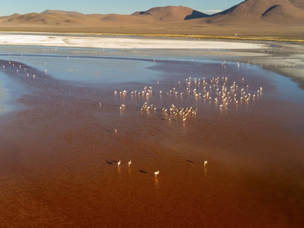 Laguna Colorada