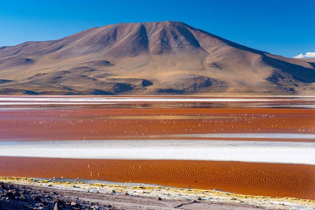 Laguna Colorada