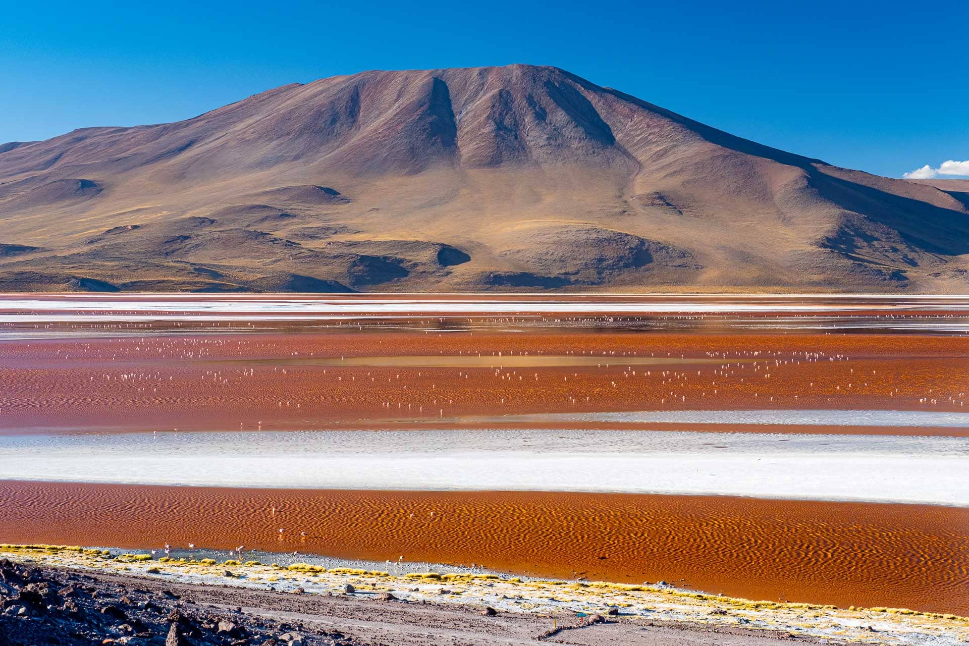 Laguna Colorada