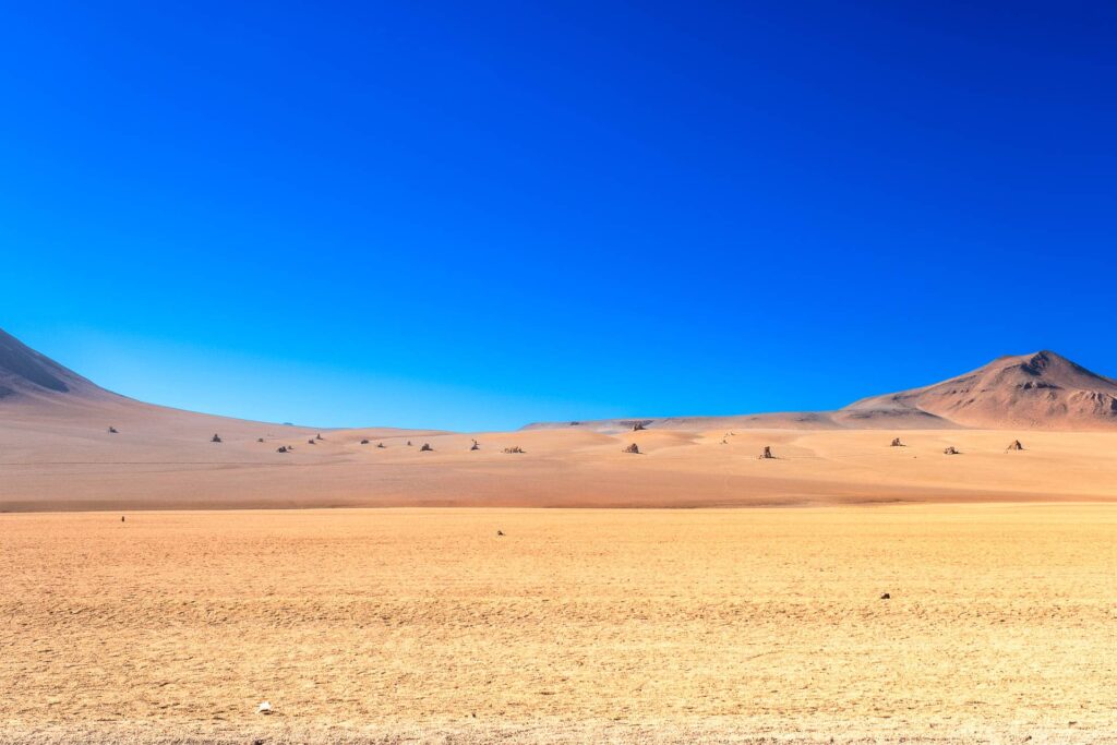 Deserto Salvador Dalì